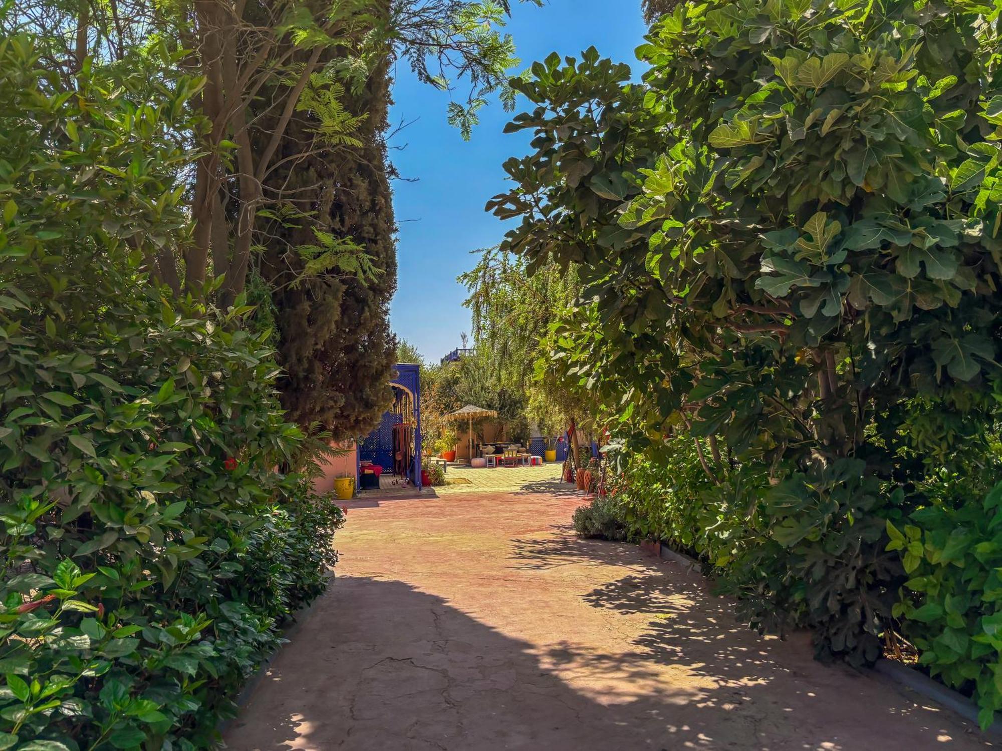 Le Bleu House Bed and Breakfast Sidi Abdallah Ghiat Eksteriør billede
